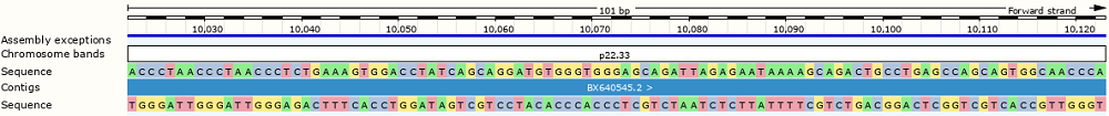 人類X染色體的序列片段