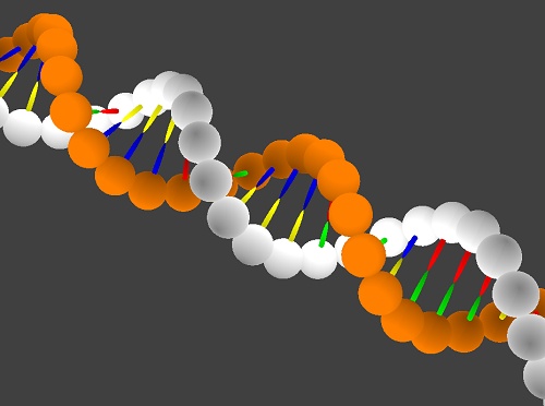 DNA與遺傳編碼